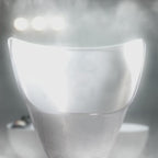 At-Home Spa Facial Steamer